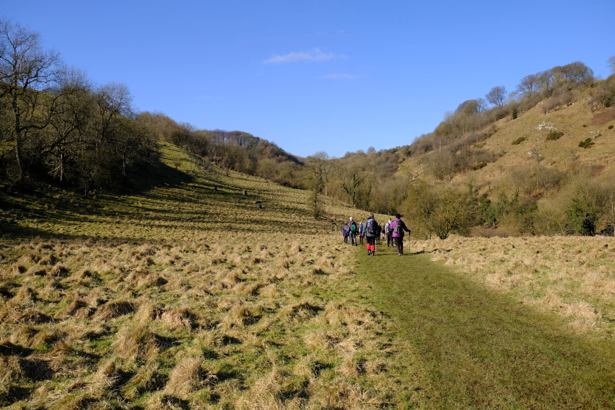 View of Miller's Dale