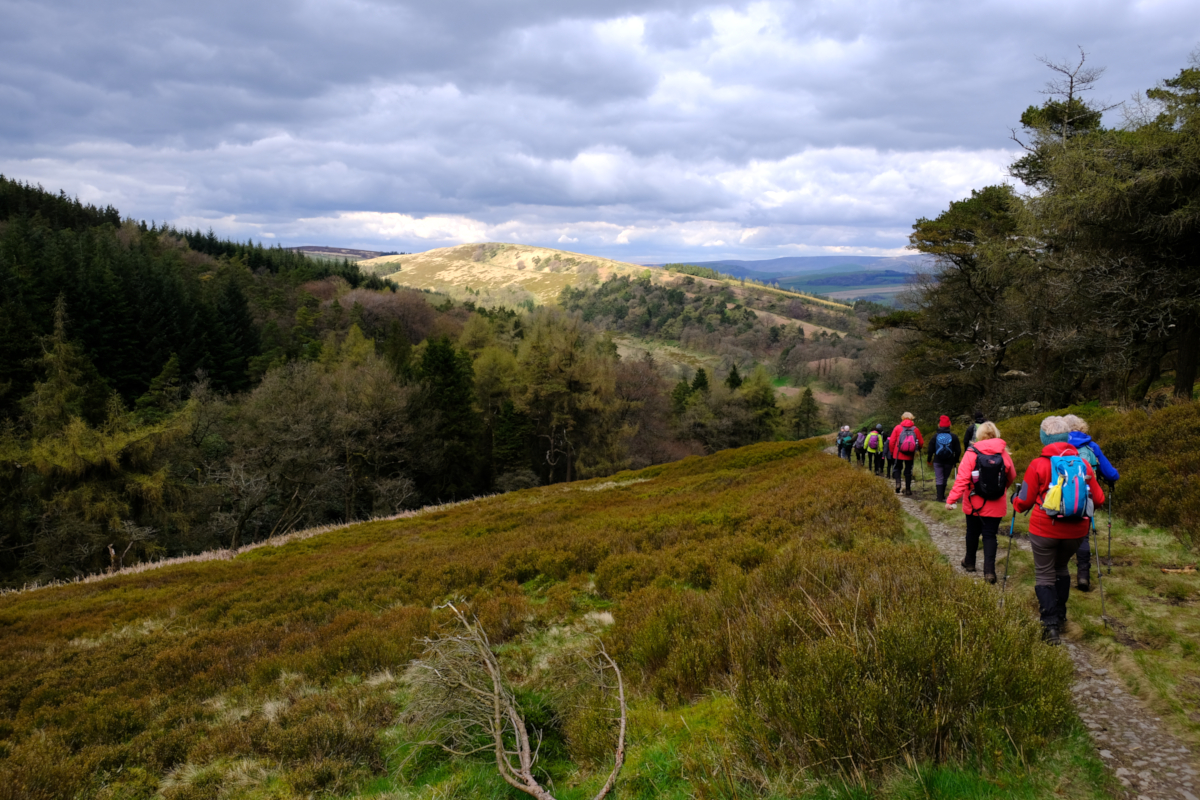 View of Shooters Clough