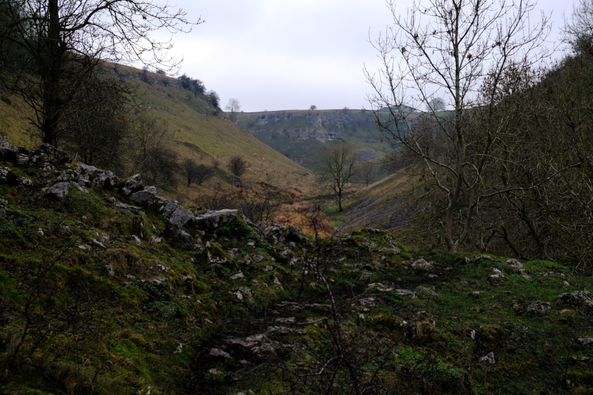 View of Lathkill Dale from Cales Dale, Monyash, Derbyshire