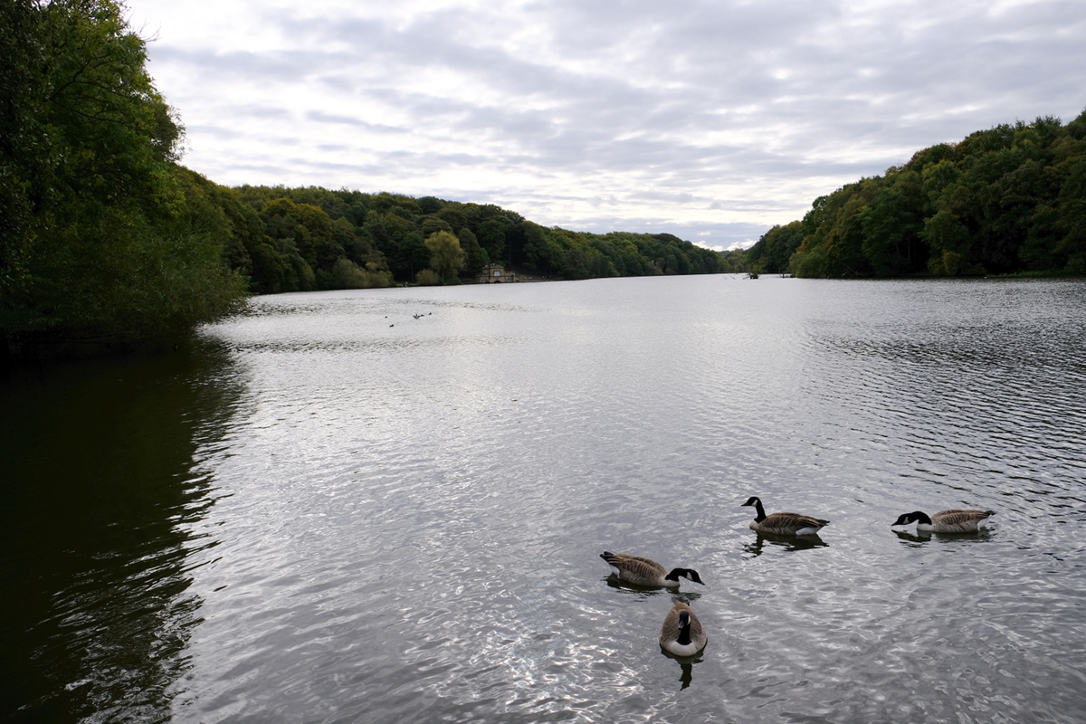 View of Newmillerdam, Wakefield, West Yorkshire