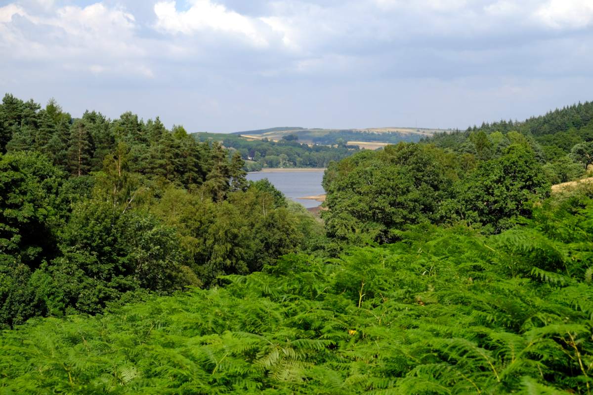 View of Dale Dike Reservoir, Bradfield, Sheffield, South Yorkshire