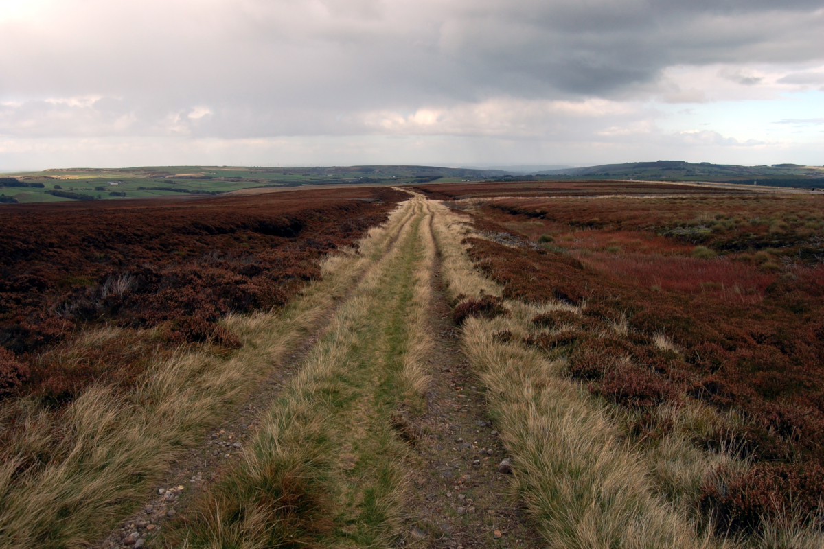 View of Snow Road, Bord Hill, Langsett