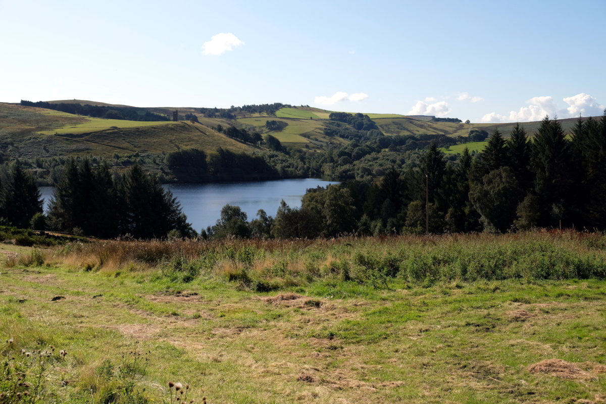 View of Strines Reservoir