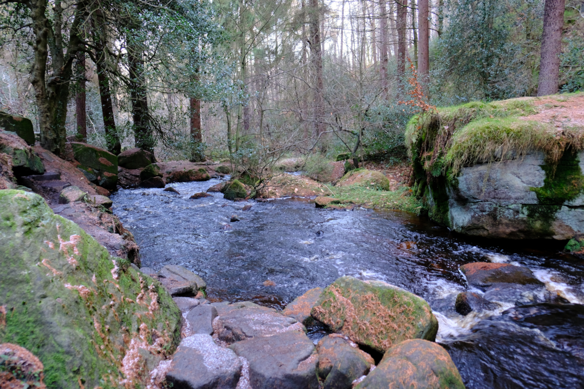 View of Wyming Brook, Redmires, Sheffield