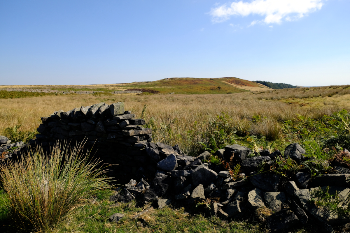 View of Ewden Height, Midhopestones