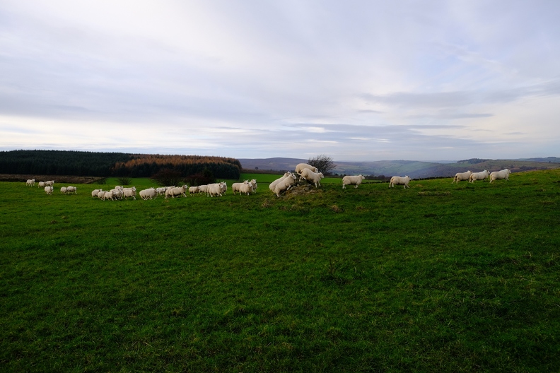 View of Spout House Hill, Wharncliffe Side, Sheffield, South Yorkshire