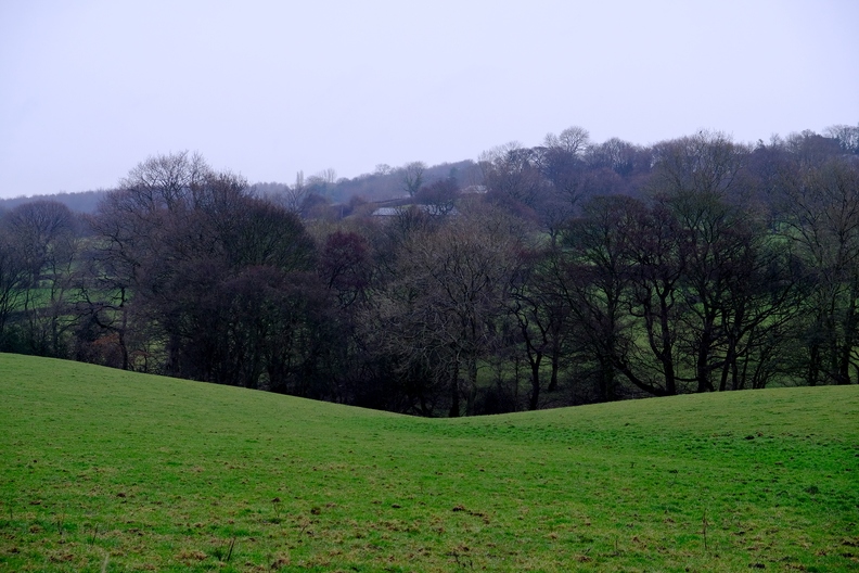 View of Lower Coates, Silkstone Common