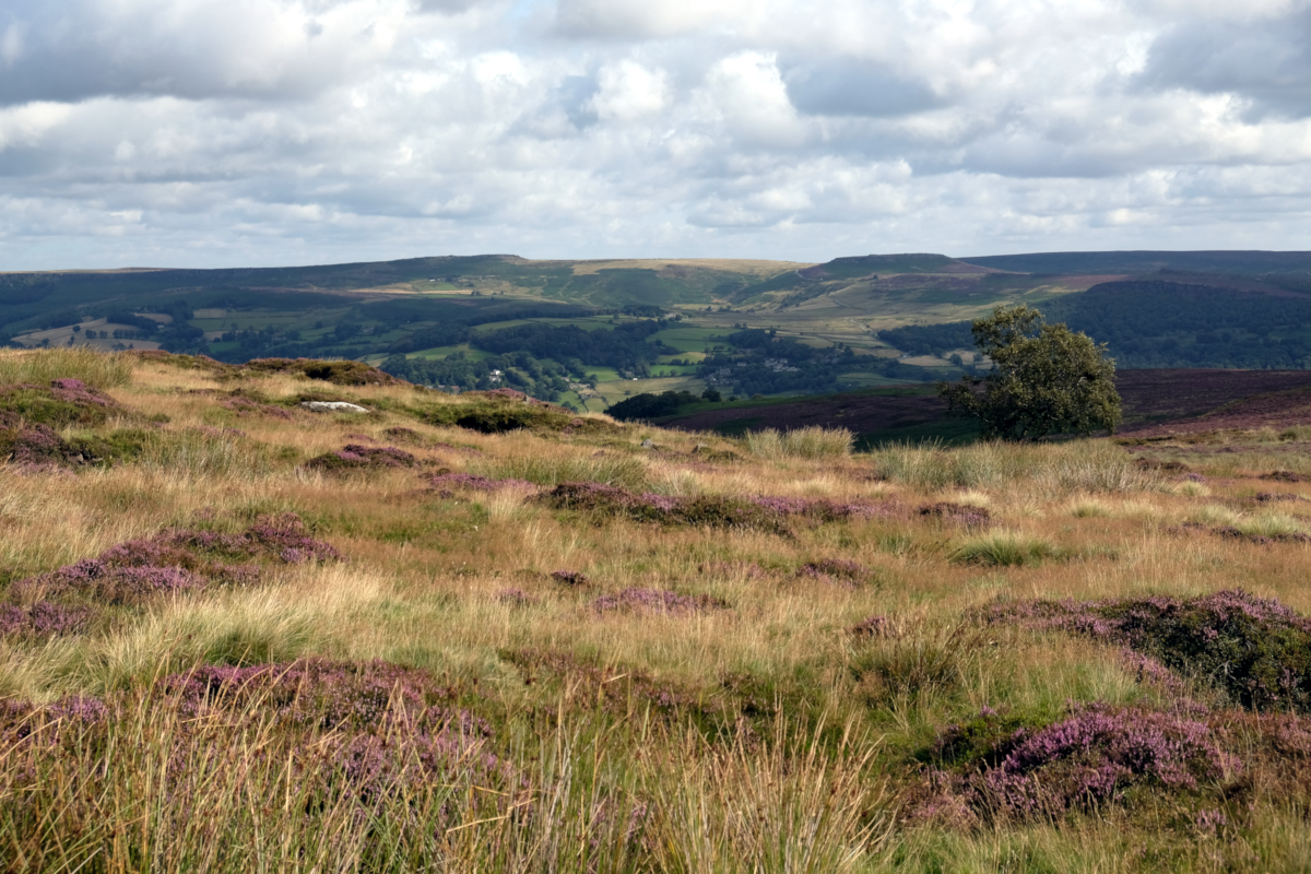 View of Higger Tor and Stanage Edge from Sir William Hill