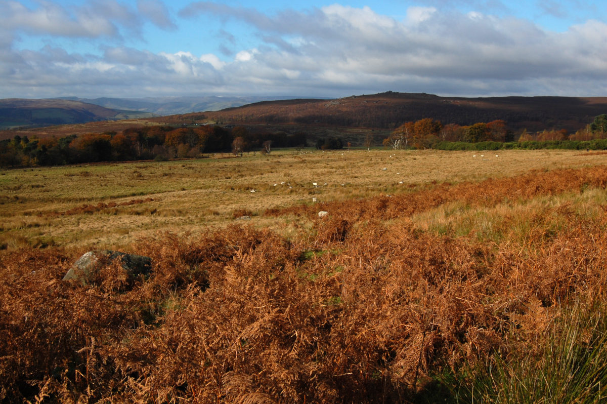 View of Higger Tor from Longshaw Estate