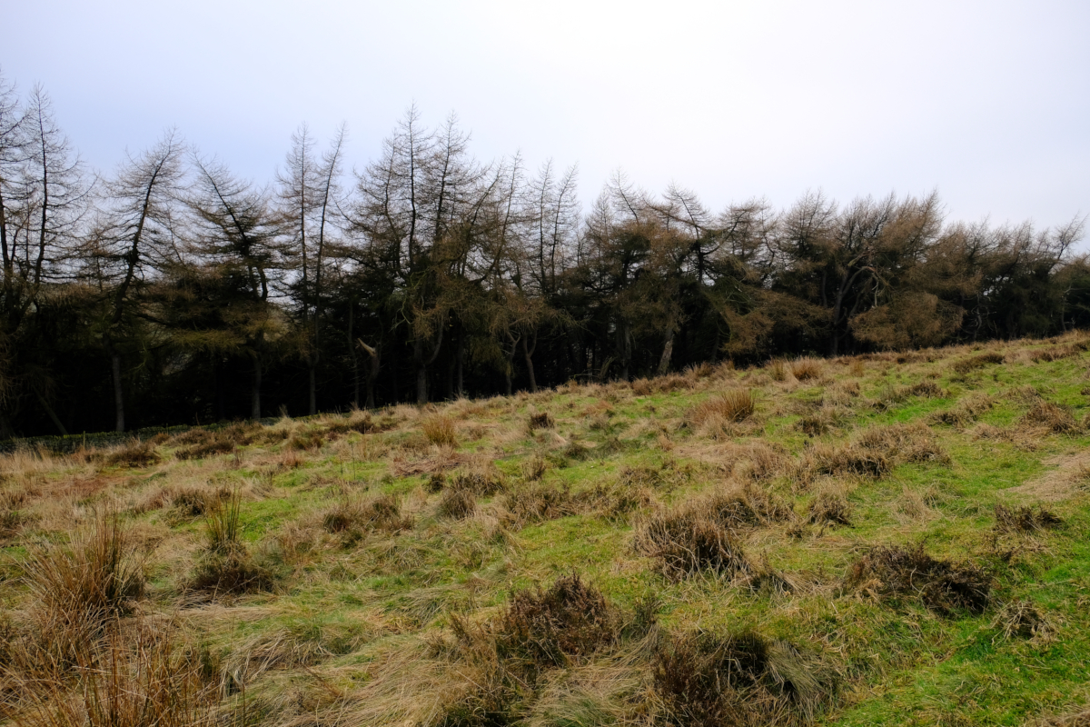 View of Smelting Hill