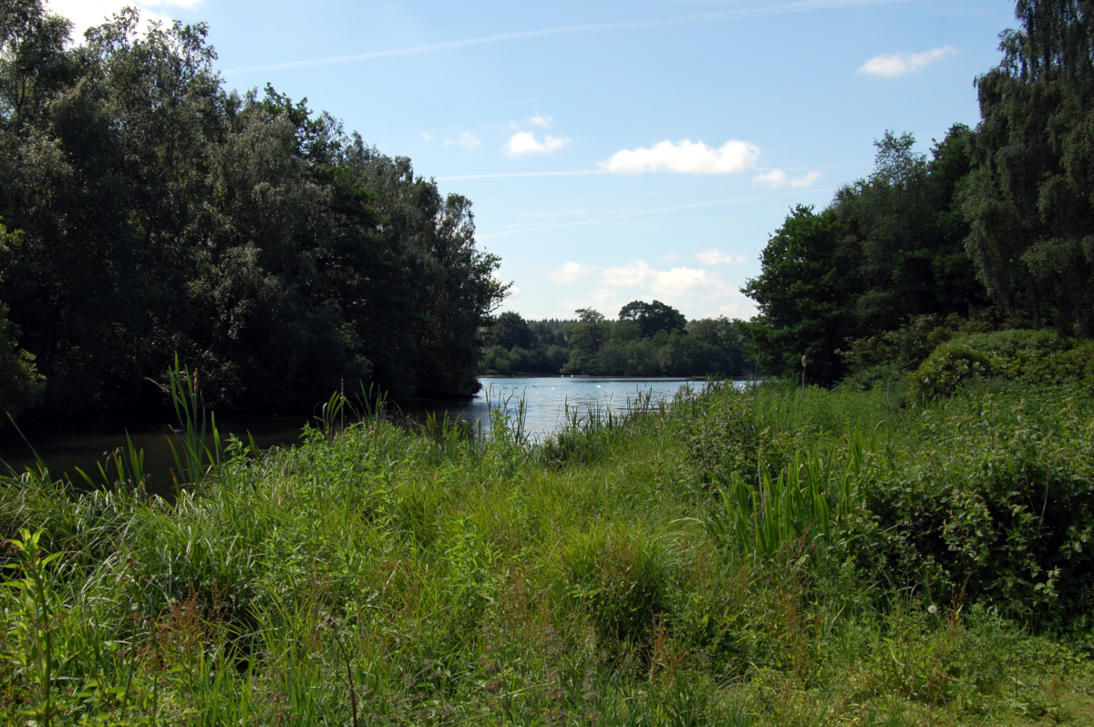 View of Clumber Park