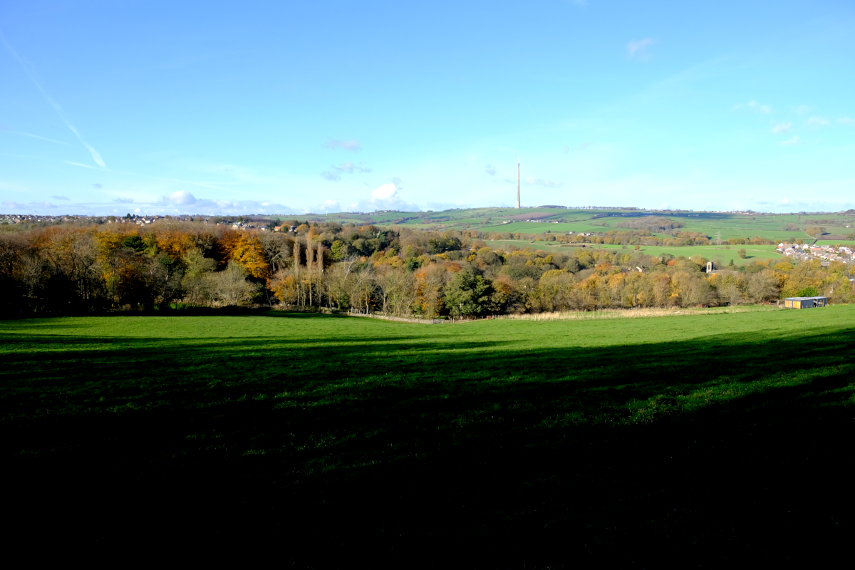 View of Emley Moor mast