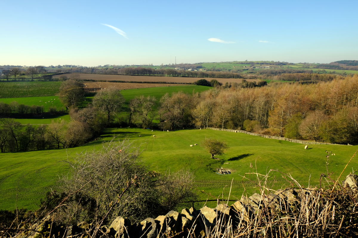 View of Emley Moor masts from Gadding Moor