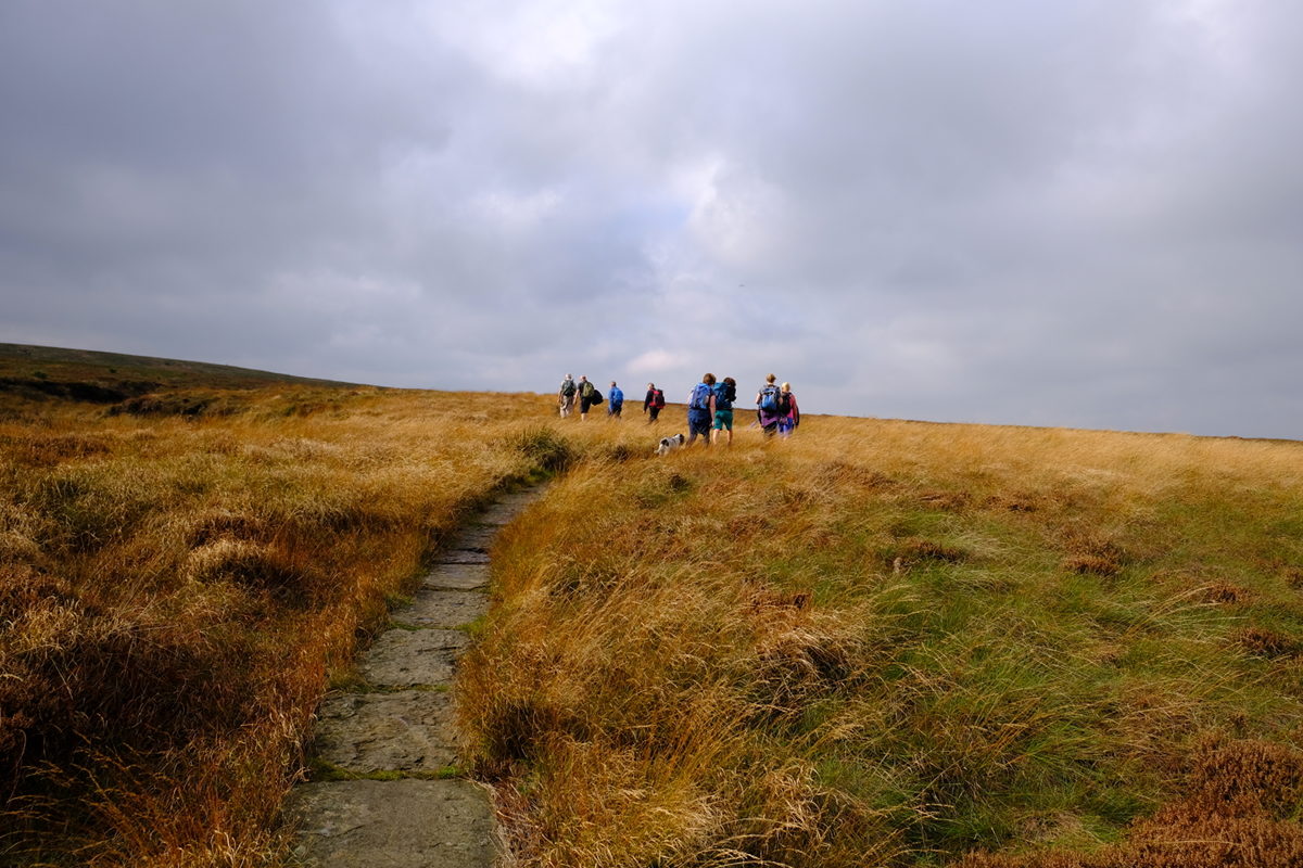 View of Black Moss