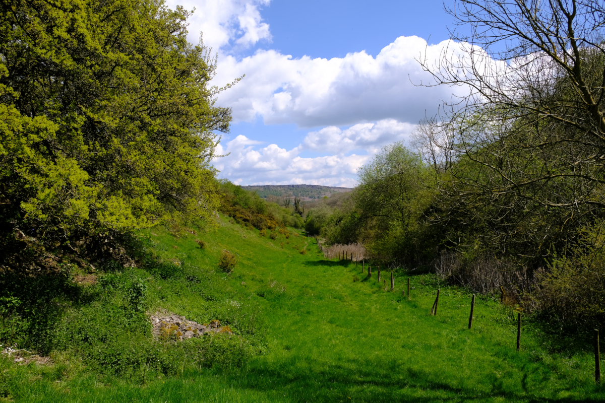 View of Coombs Dale, Calver