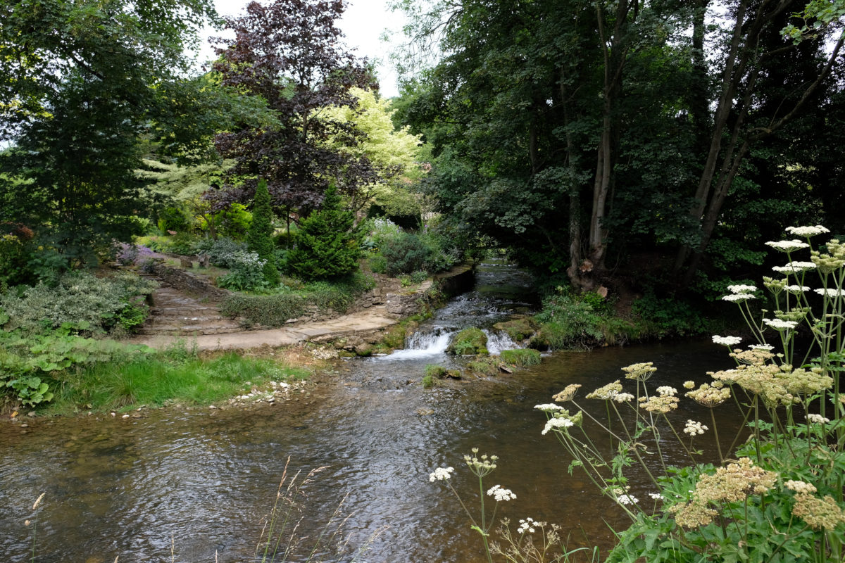 View of the River Rye, Rievaulx