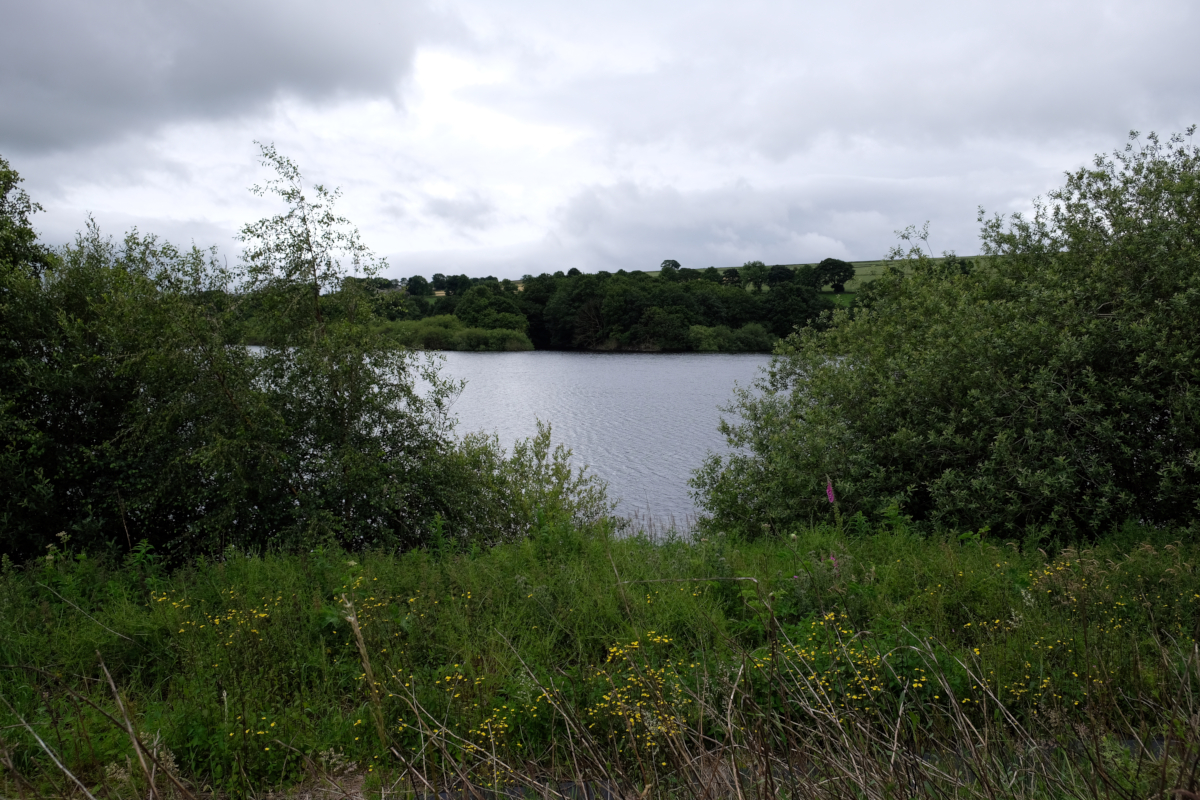 View of Royd Moor Reservoir