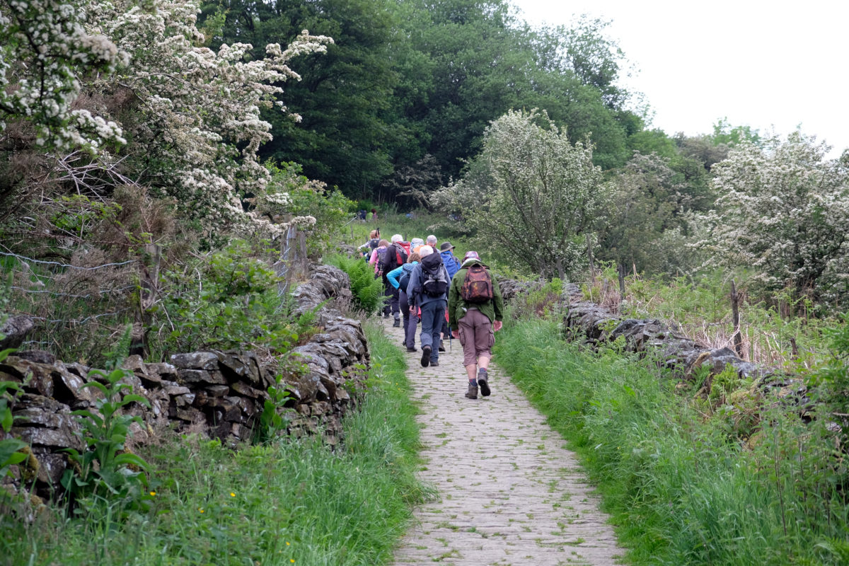 View of Saddler's Way