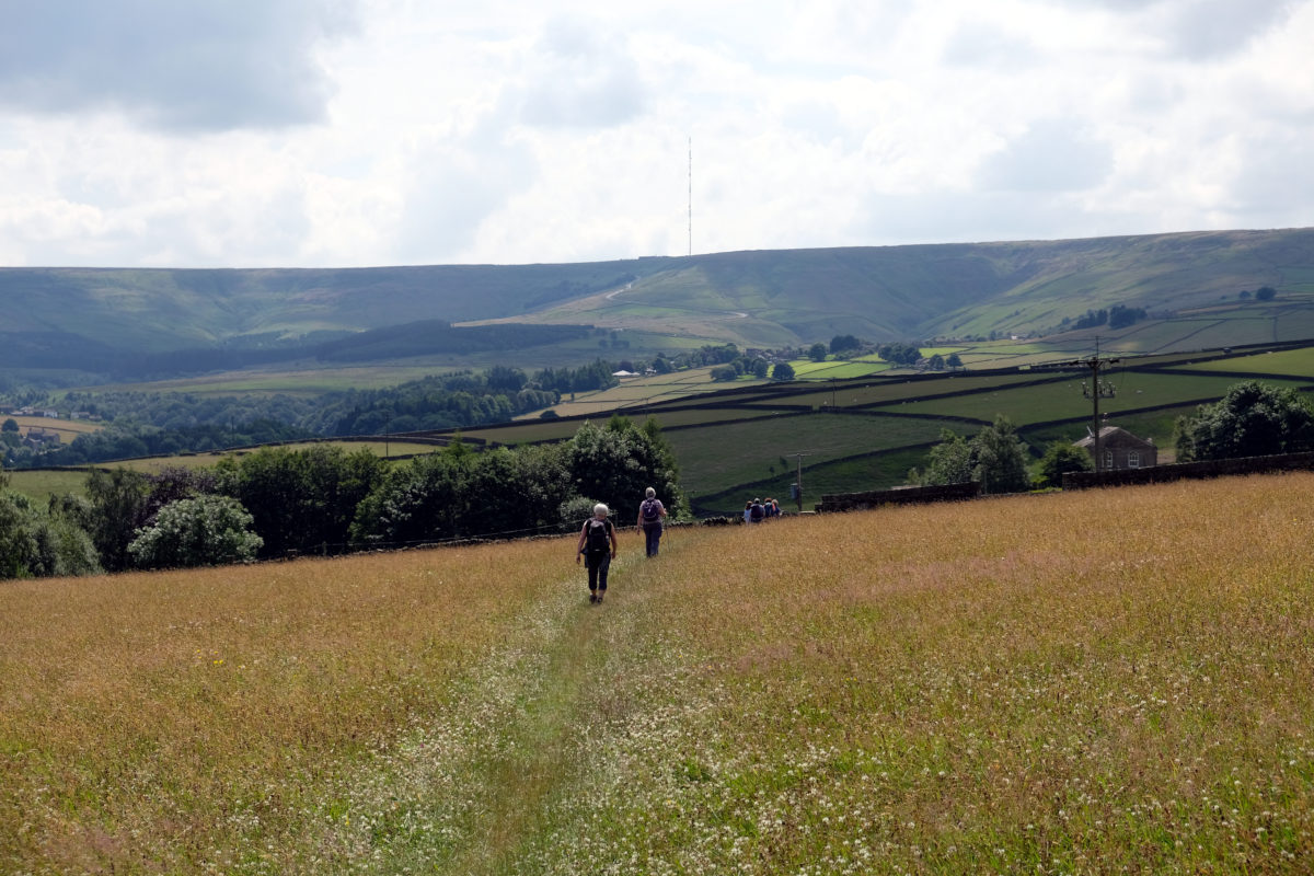 View of Carr Green