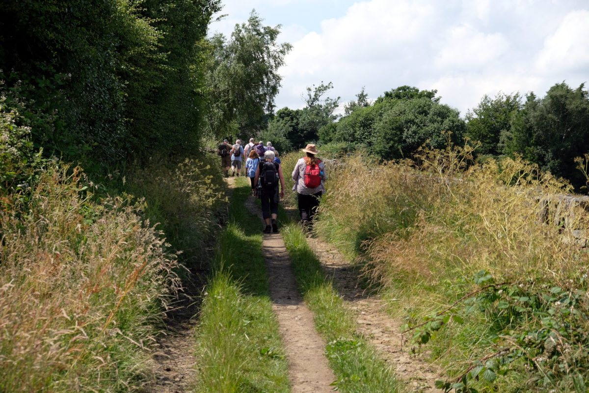 View of Hill Lane