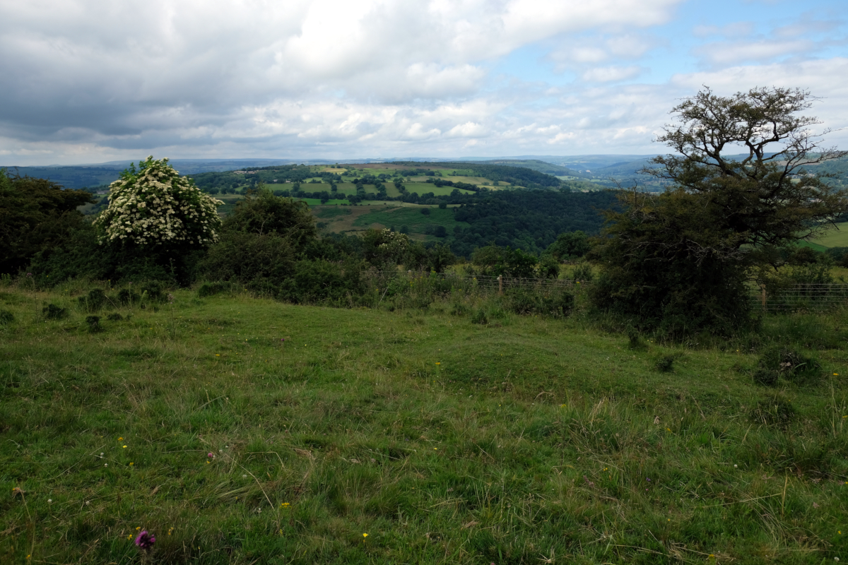 View north from Limestone Way, Winster