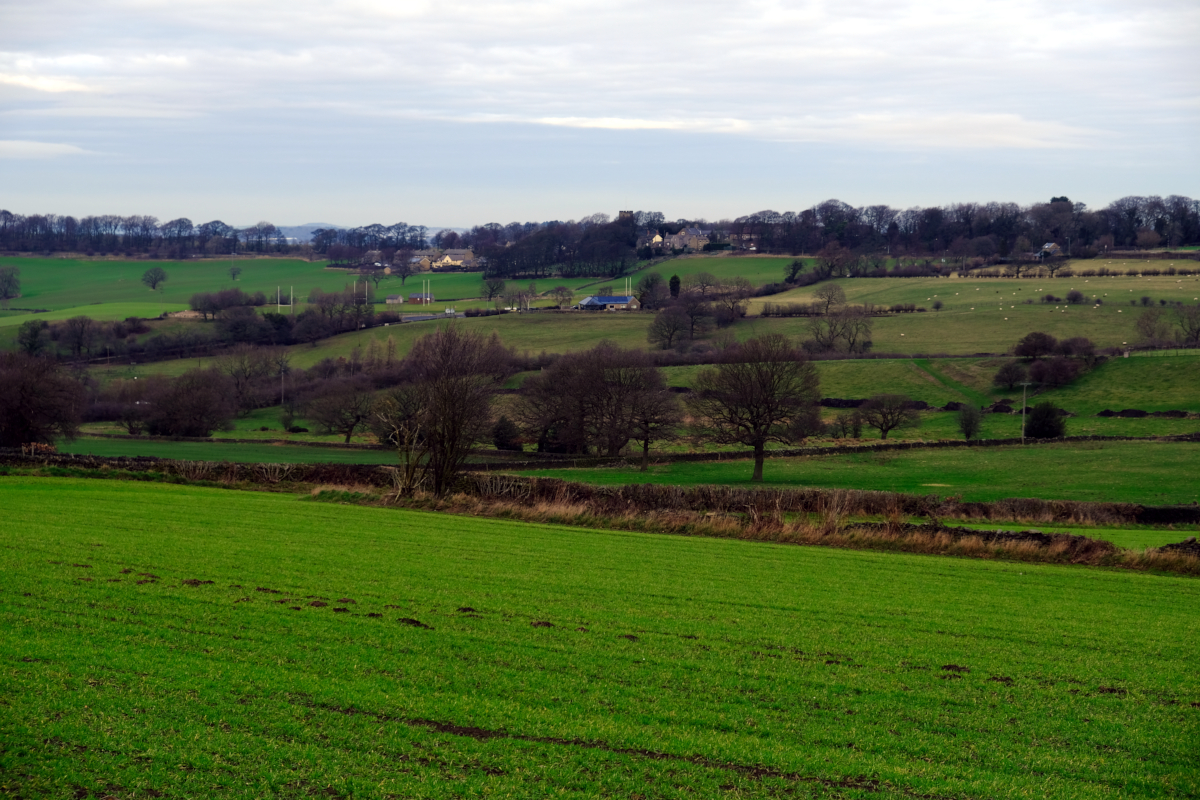 View of Wortley