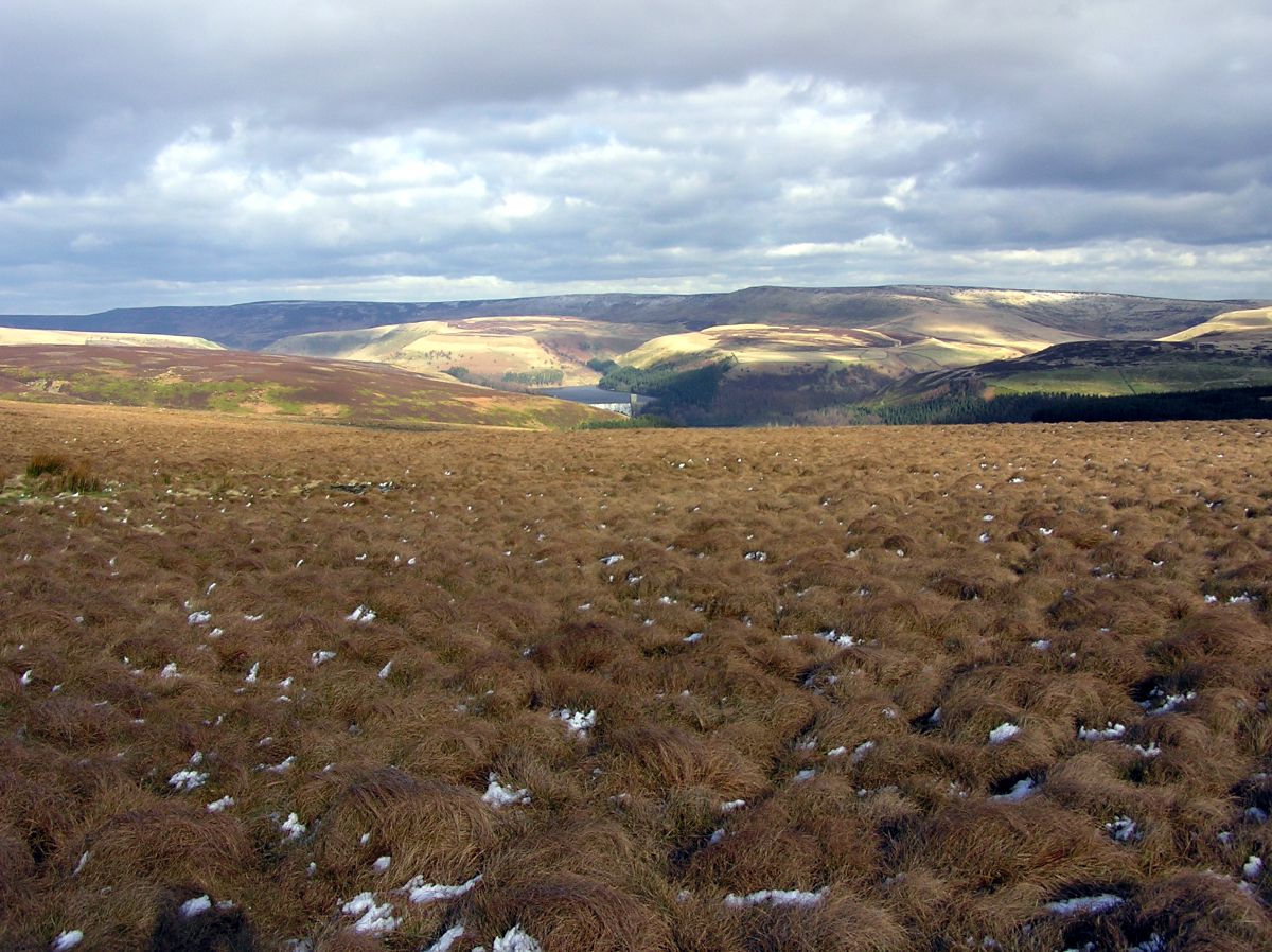 View of Derwent Edge from Rowlee Pasture