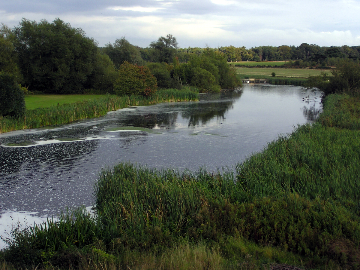 View of Clumber Wetland