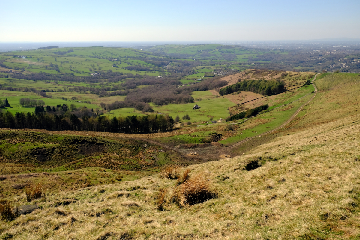 View of Coombes Edge