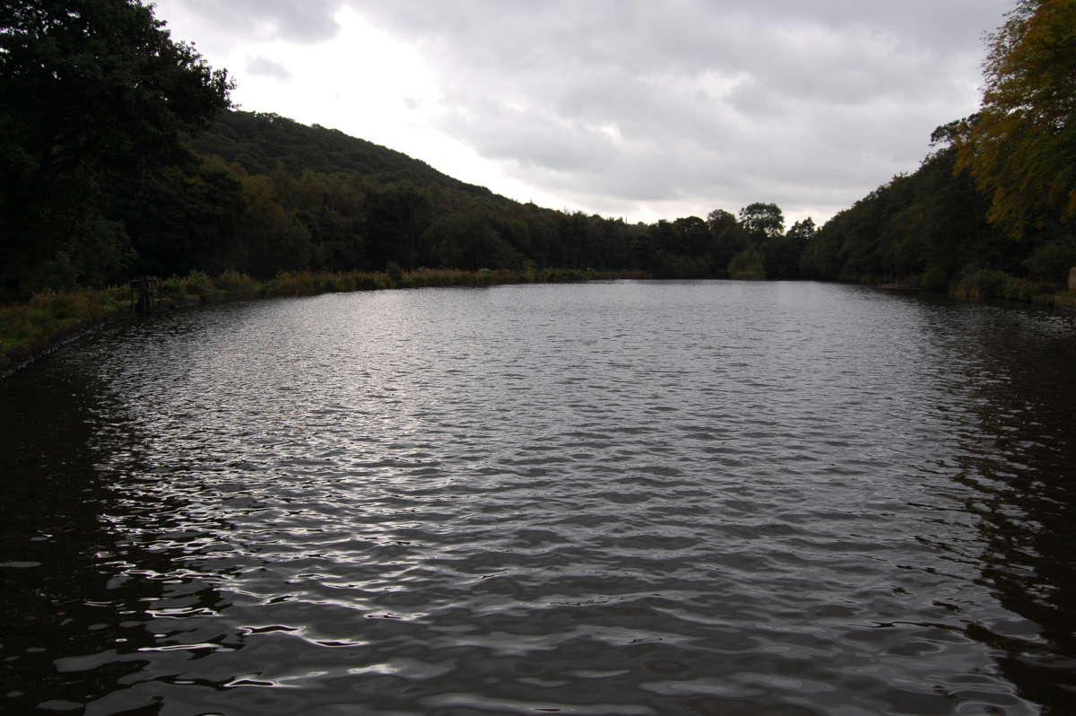 View of Forge Dam