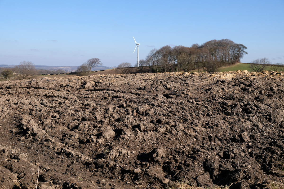 View of Whin Moor