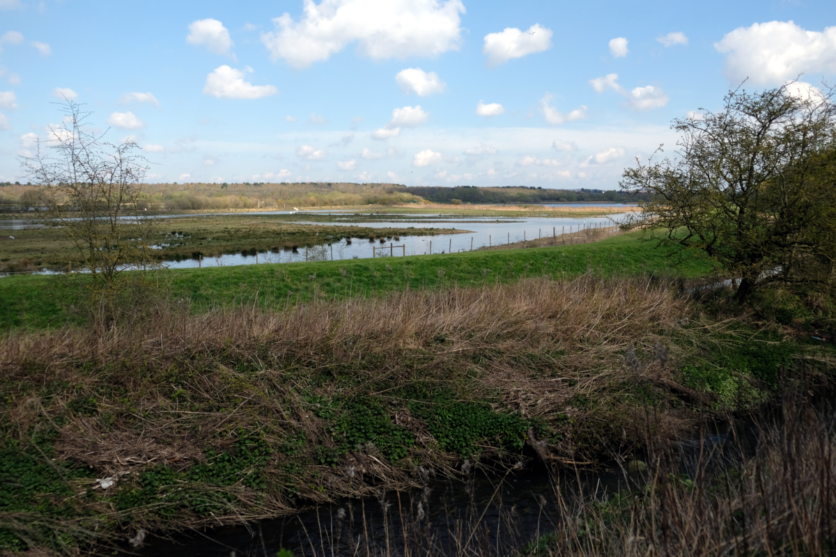 View of Dearne Valley