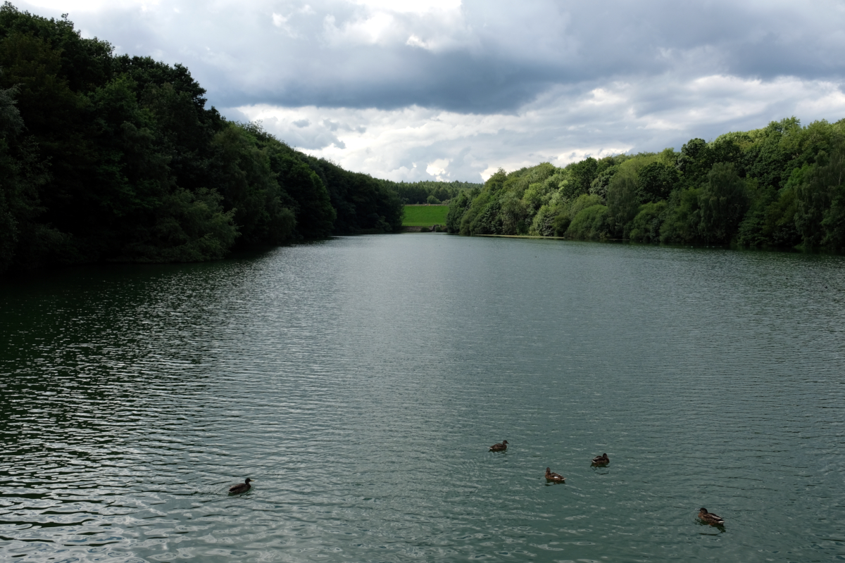 View of Linacre Lower Reservoir